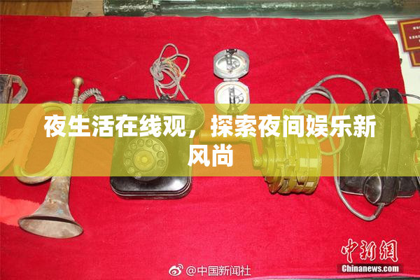 夜生活在线观，探索夜间娱乐新风尚