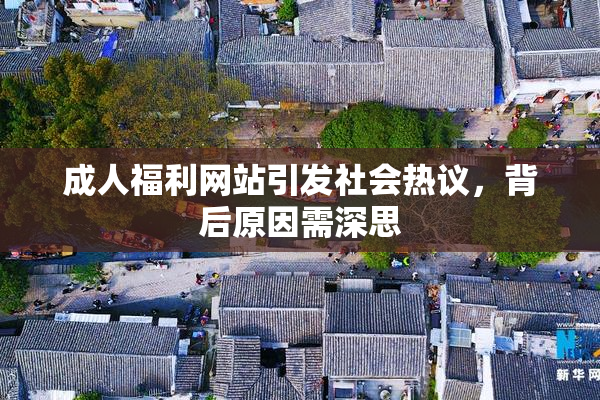 成人福利网站引发社会热议，背后原因需深思