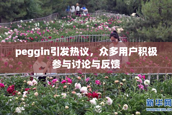 peggin引发热议，众多用户积极参与讨论与反馈