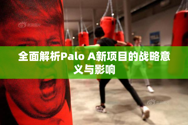 全面解析Palo A新项目的战略意义与影响