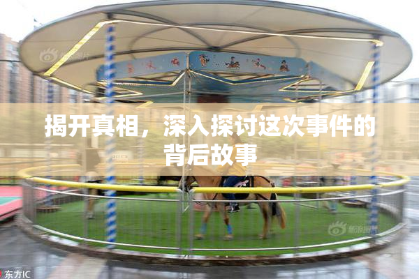 揭开真相，深入探讨这次事件的背后故事