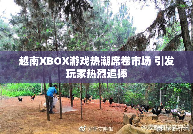 越南XBOX游戏热潮席卷市场 引发玩家热烈追捧