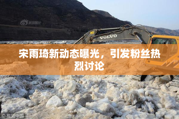 宋雨琦新动态曝光，引发粉丝热烈讨论