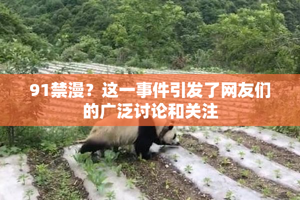91禁漫？这一事件引发了网友们的广泛讨论和关注