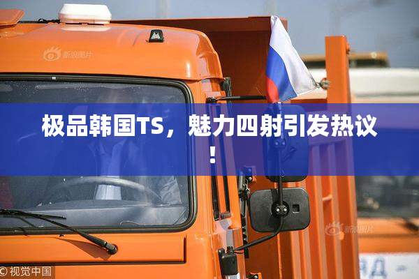 极品韩国TS，魅力四射引发热议！
