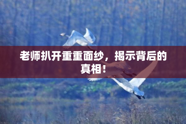 老师扒开重重面纱，揭示背后的真相！