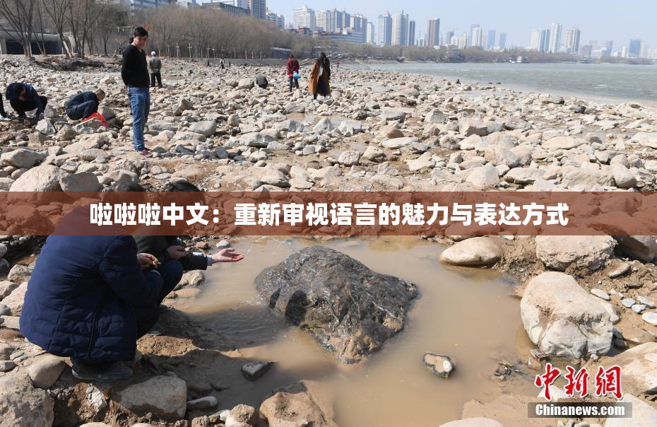 啦啦啦中文：重新审视语言的魅力与表达方式