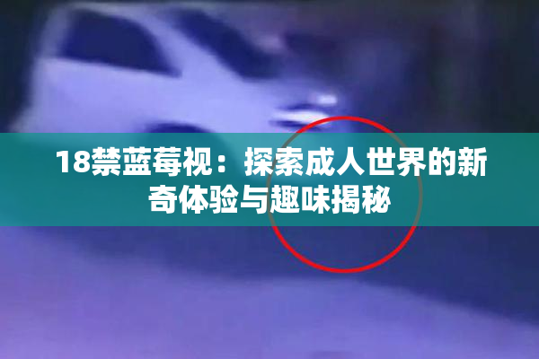 18禁蓝莓视：探索成人世界的新奇体验与趣味揭秘