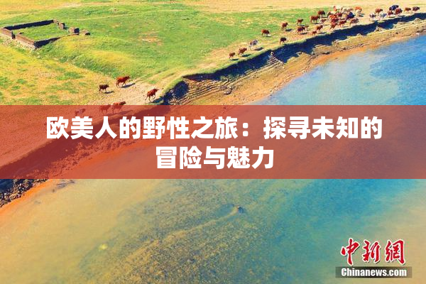 欧美人的野性之旅：探寻未知的冒险与魅力