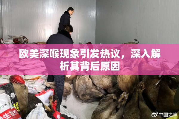 欧美深喉现象引发热议，深入解析其背后原因