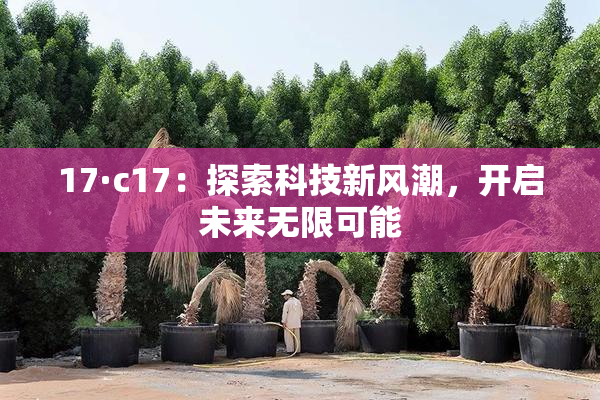 17·c17：探索科技新风潮，开启未来无限可能