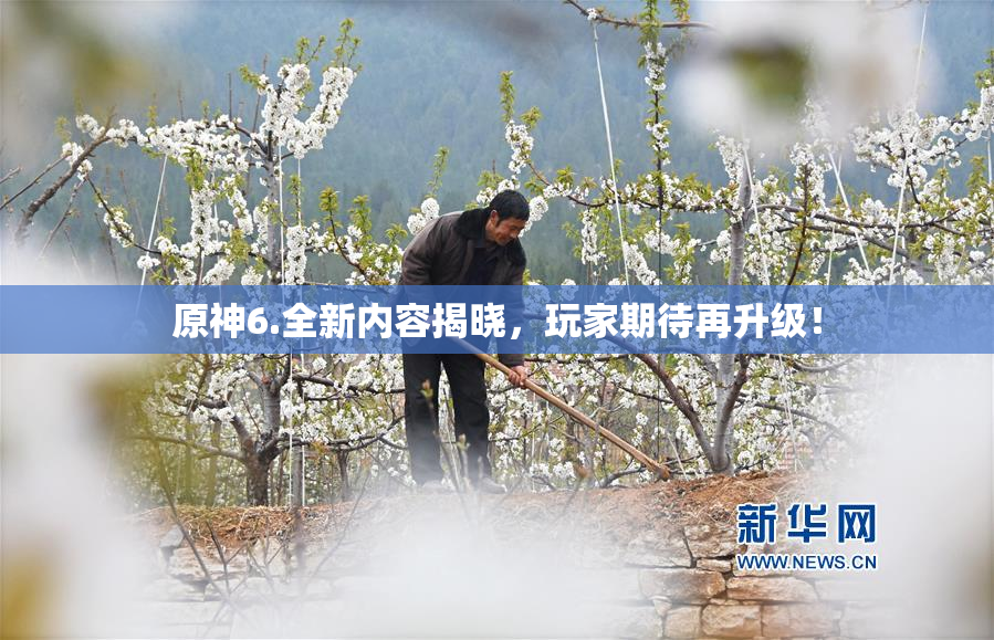 原神6.全新内容揭晓，玩家期待再升级！