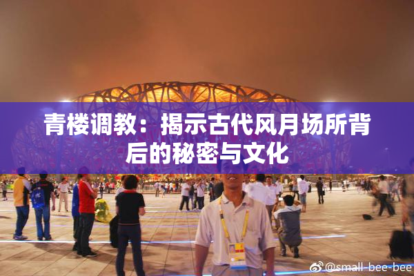 青楼调教：揭示古代风月场所背后的秘密与文化