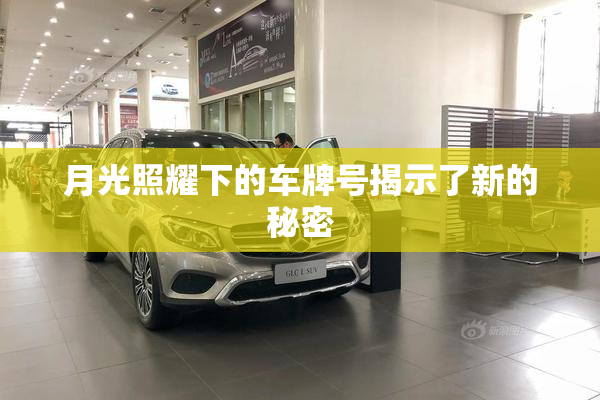 月光照耀下的车牌号揭示了新的秘密