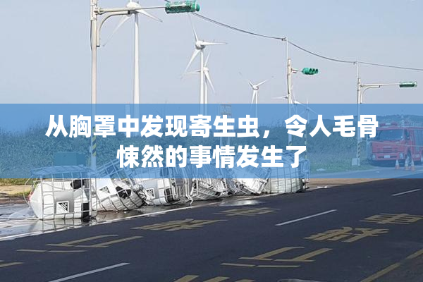 从胸罩中发现寄生虫，令人毛骨悚然的事情发生了