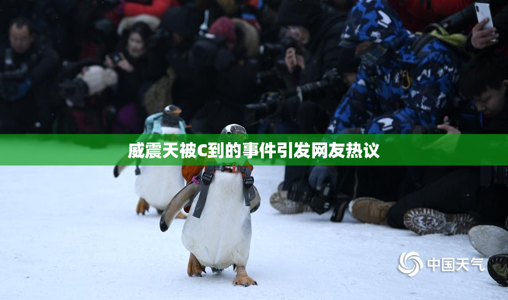 威震天被C到的事件引发网友热议