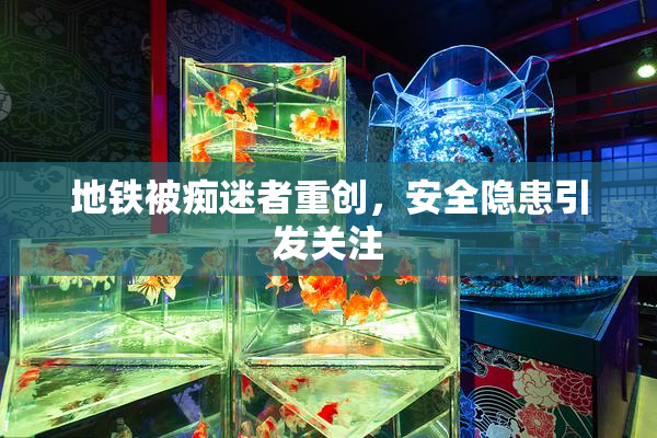 地铁被痴迷者重创，安全隐患引发关注
