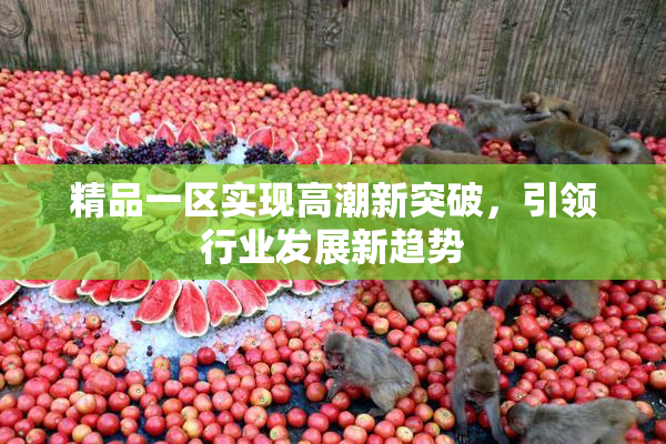 精品一区实现高潮新突破，引领行业发展新趋势