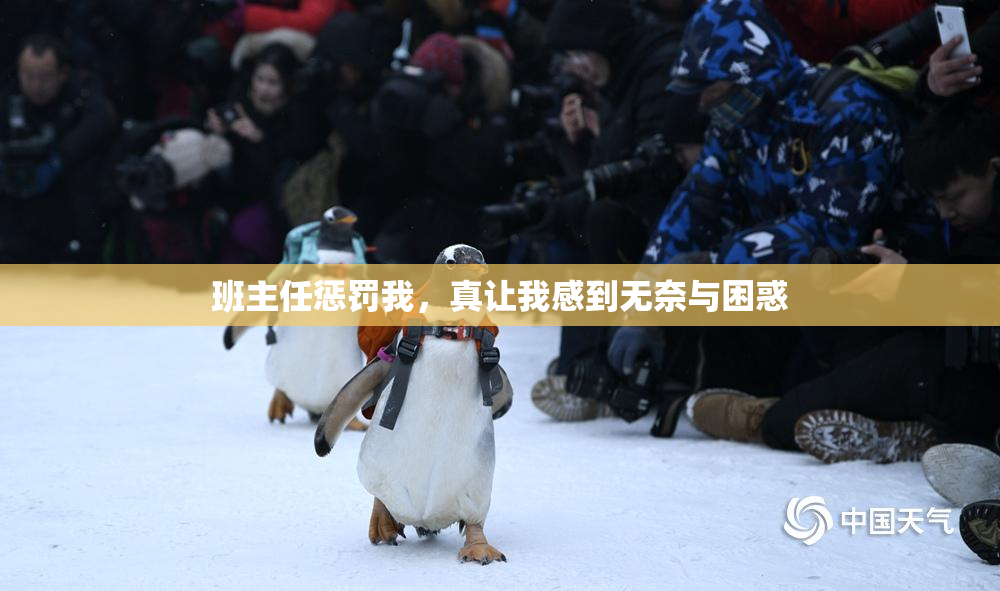 班主任惩罚我，真让我感到无奈与困惑