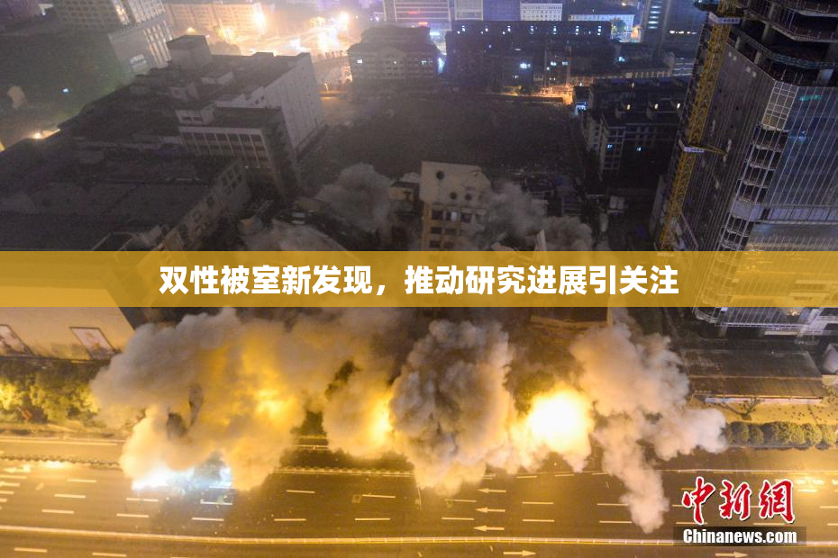 双性被室新发现，推动研究进展引关注