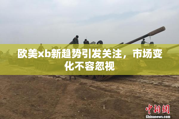 欧美xb新趋势引发关注，市场变化不容忽视