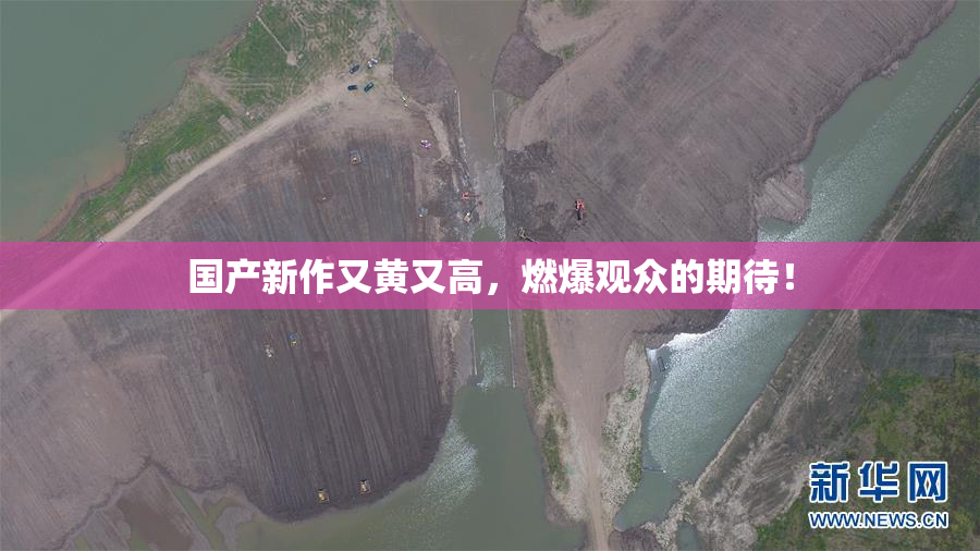 国产新作又黄又高，燃爆观众的期待！