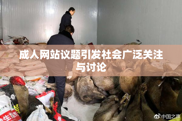 成人网站议题引发社会广泛关注与讨论