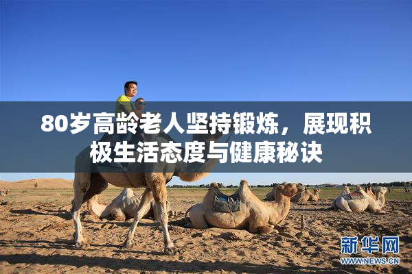 80岁高龄老人坚持锻炼，展现积极生活态度与健康秘诀