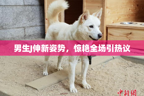 男生J伸新姿势，惊艳全场引热议