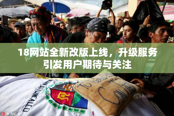 18网站全新改版上线，升级服务引发用户期待与关注