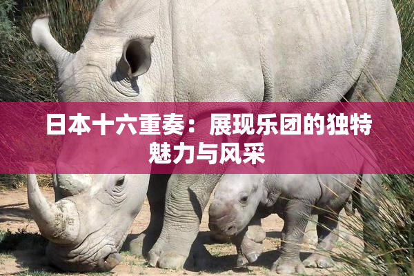 日本十六重奏：展现乐团的独特魅力与风采