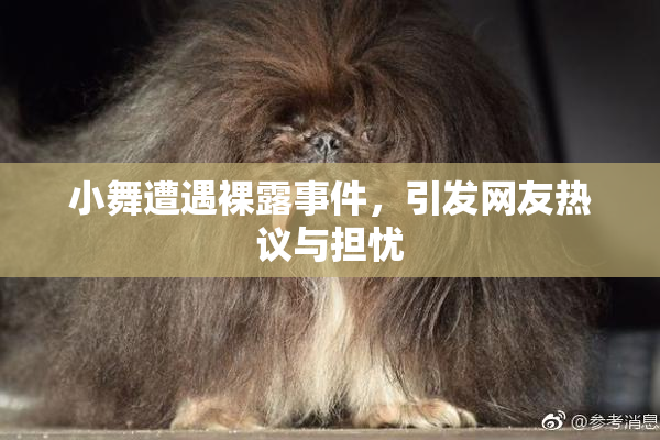 小舞遭遇裸露事件，引发网友热议与担忧