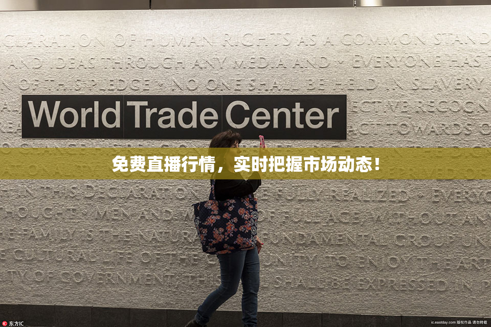免费直播行情，实时把握市场动态！