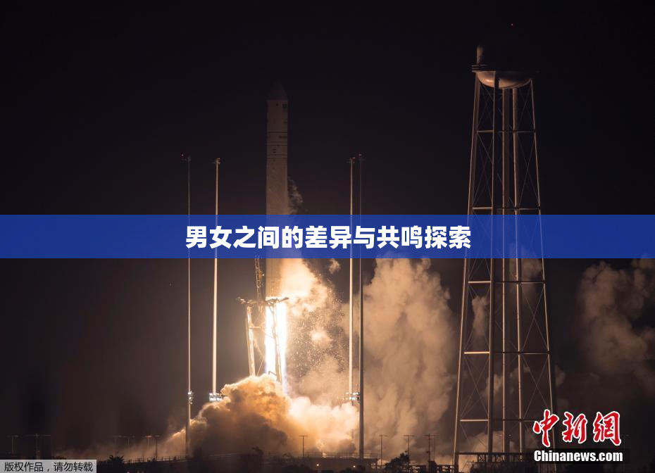 男女之间的差异与共鸣探索