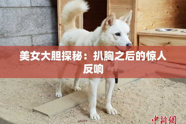 美女大胆探秘：扒胸之后的惊人反响