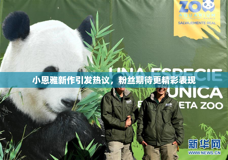 小恩雅新作引发热议，粉丝期待更精彩表现