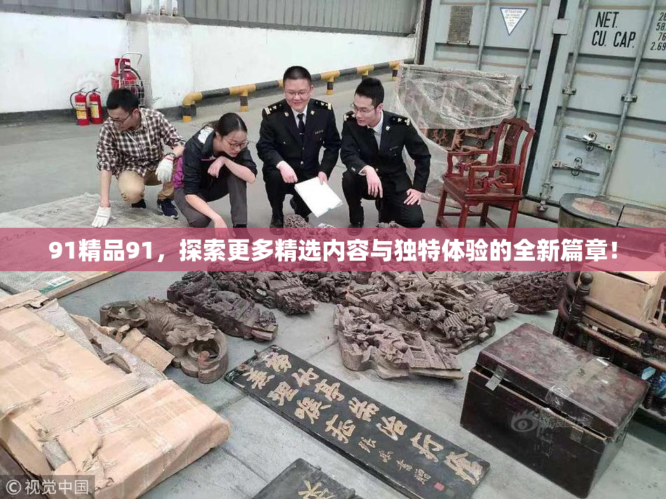 91精品91，探索更多精选内容与独特体验的全新篇章！