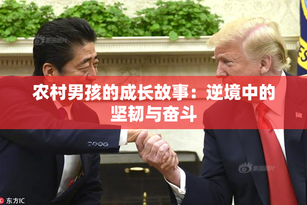 农村男孩的成长故事：逆境中的坚韧与奋斗