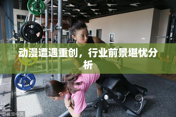 动漫遭遇重创，行业前景堪忧分析