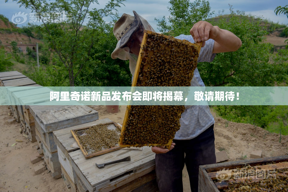 阿里奇诺新品发布会即将揭幕，敬请期待！