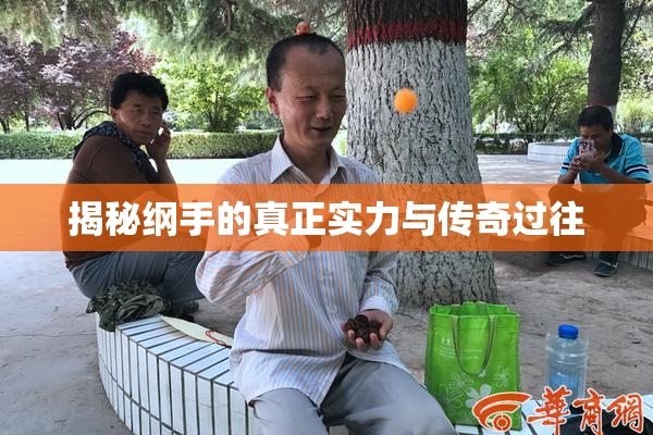 揭秘纲手的真正实力与传奇过往