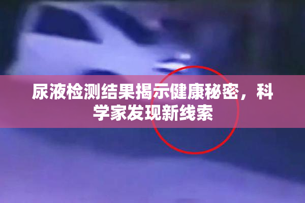 尿液检测结果揭示健康秘密，科学家发现新线索