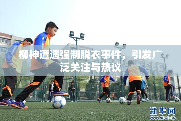 柳神遭遇强制脱衣事件，引发广泛关注与热议