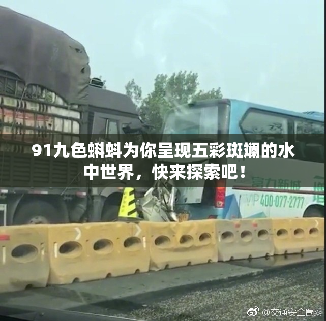 91九色蝌蚪为你呈现五彩斑斓的水中世界，快来探索吧！