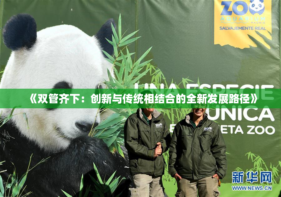 《双管齐下：创新与传统相结合的全新发展路径》