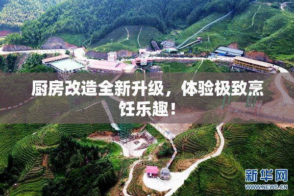 厨房改造全新升级，体验极致烹饪乐趣！