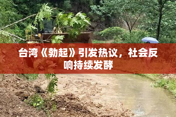 台湾《勃起》引发热议，社会反响持续发酵