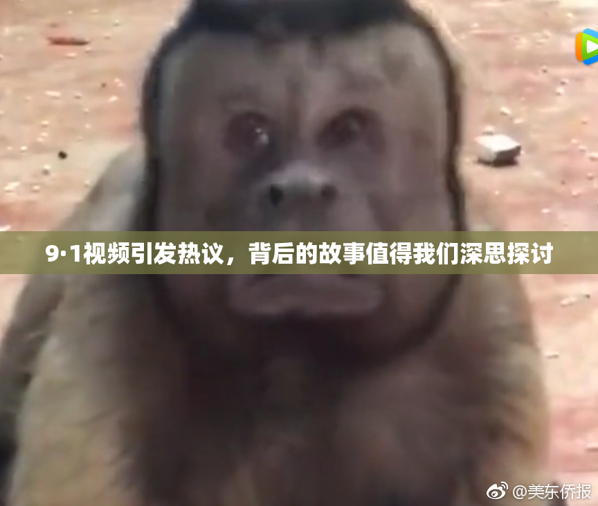 9·1视频引发热议，背后的故事值得我们深思探讨