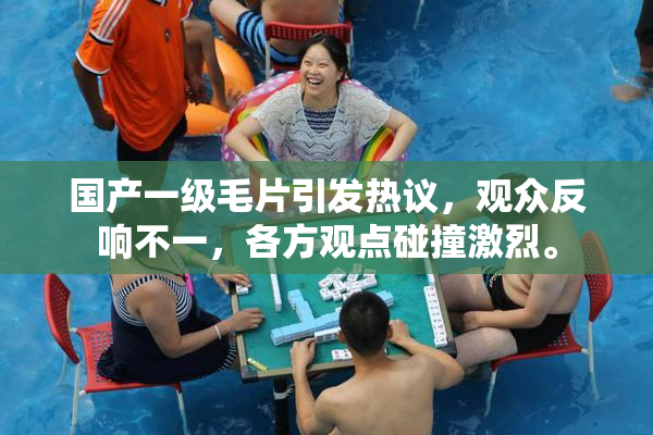 国产一级毛片引发热议，观众反响不一，各方观点碰撞激烈。