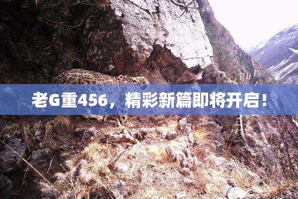 老G重456，精彩新篇即将开启！
